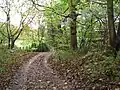 Clayton Brook footpath