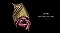 Hermit Crab