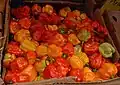 Scotch bonnet peppers in a Caribbean market