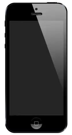 A black iPhone 5
