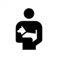 BP 006: Dogs should be carried