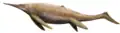 Speculative life restoration