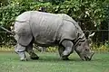 Provincial animal of Northeast Indian region