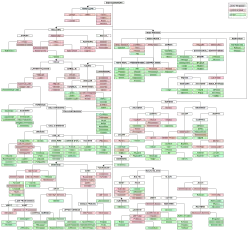 Diagram of the connections among Indo-European languages