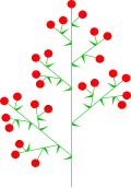 Panicle