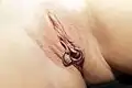 Labia minora (inner labia) piercings with rings