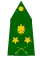 Iraqi general