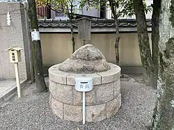 Frog-shaped Stone