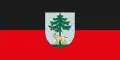 Flag of Jēkabpils