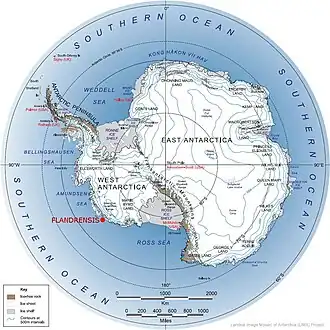 Location of Flandrensis