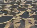 Sand dune on a beach in Calabria.