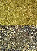 Two flatfish blending in!