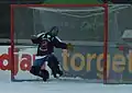 Bandy goalkeeper from Russia