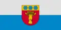 Flag of Rūjiena