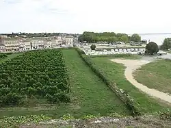 Town and vineyard of Blaye from the citadel.