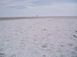Person standing on salt crust
