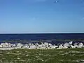 Lake Okeechobee see from Pahokee.