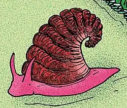 a snail - the perfect cure?