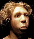 Le Moustier Neanderthal skull reconstitution, Neues Museum, Berlin