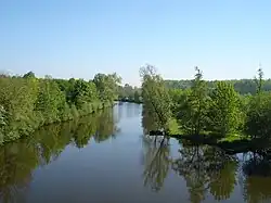 The Thouet in Montreuil-Bellay
