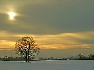 Winter landscape in Ban-de-Sapt