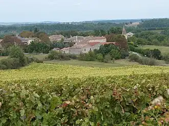 A general view of Amarens