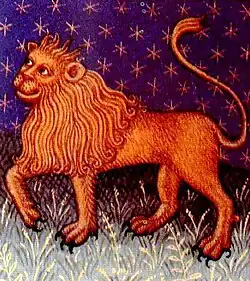 The majestic lion