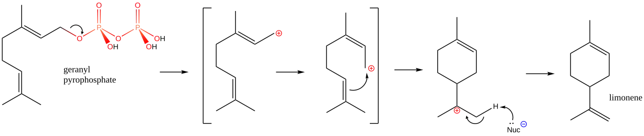 width=70%