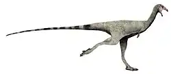 Limusaurus