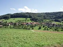 Linn