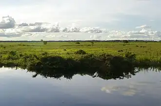 Llanos of Beni