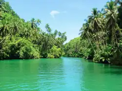 Loboc river