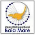 Flag of Baia Mare