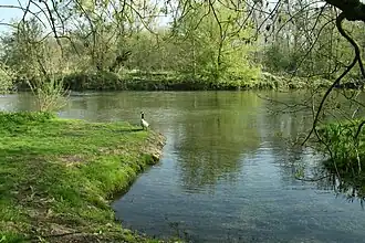 The Loing in Episy.