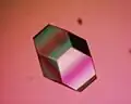 Single Protein crystal of Lysozyme