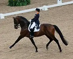 Image of a woman and a bay horse trotting