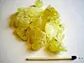 Mastic resin