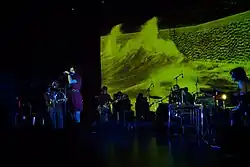 Mazzy Star in 2012