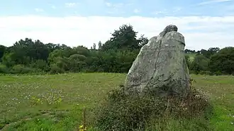 The menhir of Pierre au Sel in Maulévrier