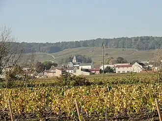 A general view of Le Mesnil-sur-Oger