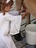 8 maids a-milking