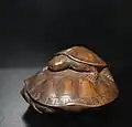 Carving