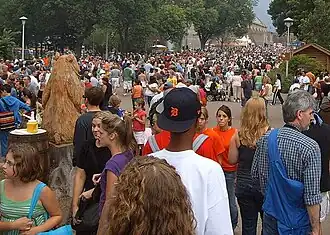 Daytime crowd at the Fair