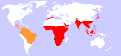 Range of monkeys