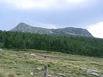 View of Mont_Mézenc