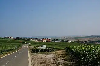 A general view of Monthelon
