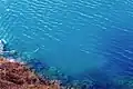 Approximately 4 metres above the lake's surface.