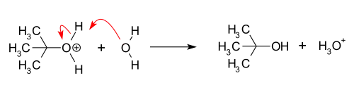 Proton transfer forming the alcohol