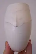 The same shell viewed from underneath