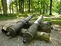 Old guns in park.